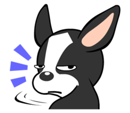 Adorable Boston Terrier Showtime sticker #7256535