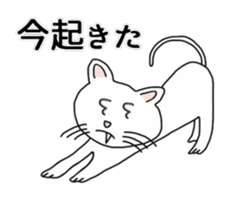 Master of Cat sticker #7257024