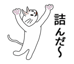 Master of Cat sticker #7257026