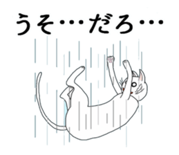 Master of Cat sticker #7257033