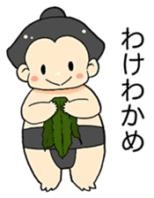 lovely sumo wrestler sticker #7257941