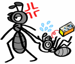 Ants! 3 <Boyhood> sticker #7258117