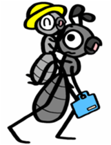 Ants! 3 <Boyhood> sticker #7258120