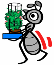 Ants! 3 <Boyhood> sticker #7258126