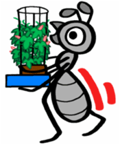 Ants! 3 <Boyhood> sticker #7258126