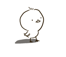 Pi of little bird sticker #7259019