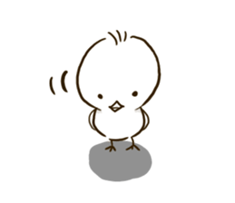 Pi of little bird sticker #7259020