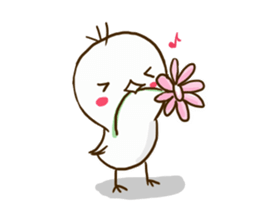 Pi of little bird sticker #7259037