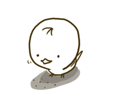 Pi of little bird sticker #7259047