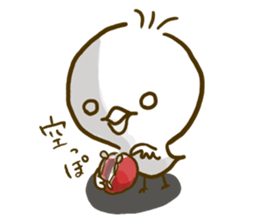 Pi of little bird sticker #7259050