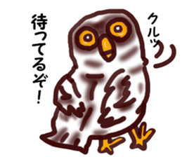 The vitality Sticker of  Monkey and bird sticker #7264899