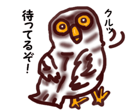 The vitality Sticker of Monkey and bird sticker #7264899