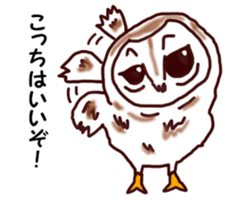 The vitality Sticker of  Monkey and bird sticker #7264901