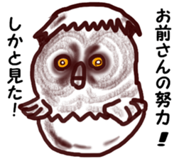 The vitality Sticker of  Monkey and bird sticker #7264902