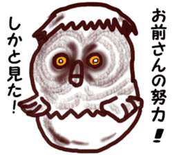 The vitality Sticker of Monkey and bird sticker #7264902