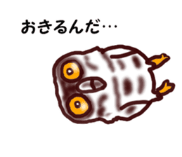 The vitality Sticker of Monkey and bird sticker #7264914