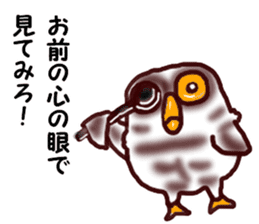 The vitality Sticker of Monkey and bird sticker #7264928