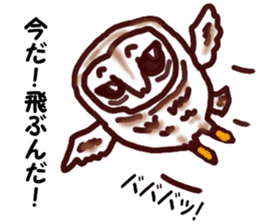 The vitality Sticker of Monkey and bird sticker #7264931