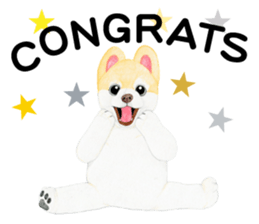 Pomeranian Sticker 2 sticker #7265576