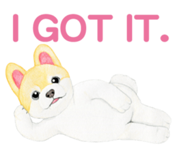 Pomeranian Sticker 2 sticker #7265578