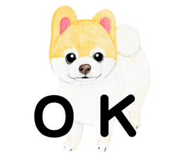 Pomeranian Sticker 2 sticker #7265579