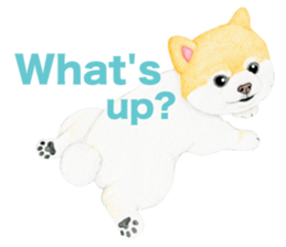 Pomeranian Sticker 2 sticker #7265580