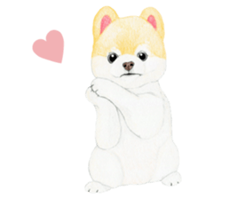 Pomeranian Sticker 2 sticker #7265581