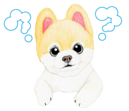 Pomeranian Sticker 2 sticker #7265587