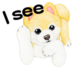 Pomeranian Sticker 2 sticker #7265588