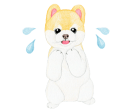 Pomeranian Sticker 2 sticker #7265593