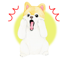 Pomeranian Sticker 2 sticker #7265594