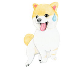 Pomeranian Sticker 2 sticker #7265596