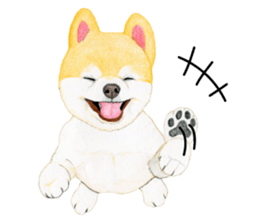 Pomeranian Sticker 2 sticker #7265599