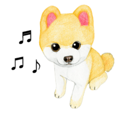 Pomeranian Sticker 2 sticker #7265601