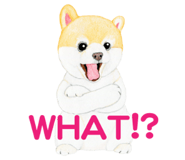 Pomeranian Sticker 2 sticker #7265602