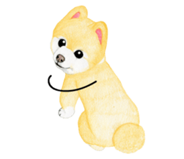 Pomeranian Sticker 2 sticker #7265604