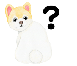 Pomeranian Sticker 2 sticker #7265606