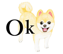 Pomeranian Sticker 2 sticker #7265608
