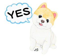 Pomeranian Sticker 2 sticker #7265609
