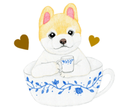 Pomeranian Sticker 2 sticker #7265612