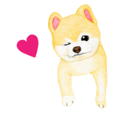 Pomeranian Sticker 2 sticker #7265614