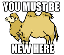 The wild animals sticker ENGLISH Ver. sticker #7266821