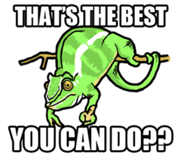 The wild animals sticker ENGLISH Ver. sticker #7266829