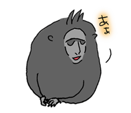 Celebes Crested Macaque sticker #7267976