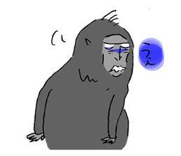 Celebes Crested Macaque sticker #7267998