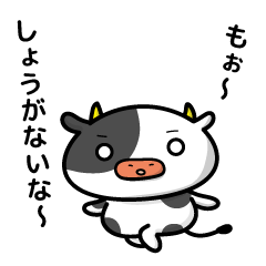 cattle and daily life