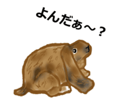 Usamofurop sticker #7270383