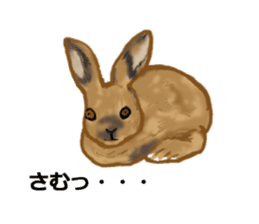 Usamofurop sticker #7270405