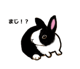 Usamofurop sticker #7270406