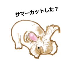 Usamofurop sticker #7270415